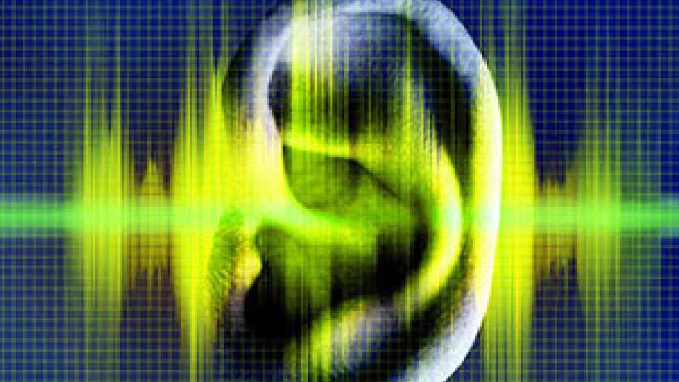 Scientists Produced an Artificial Vocal Cord