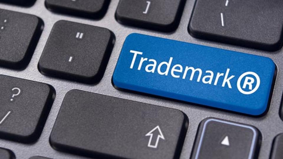 Importance of the Active Use related to the Trademark Rights