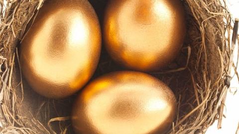 Altın Yumurtlayan Tavuk: Değerli Patent