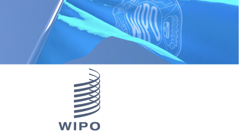 WIPO Joined The Game - WIPO Proof